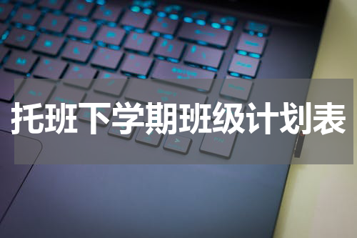 托班下学期班级计划表