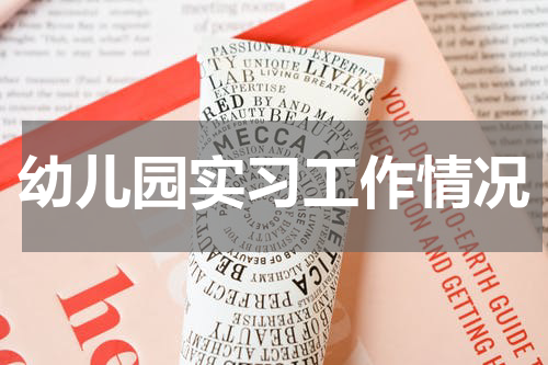 幼儿园实习工作情况