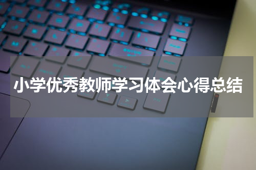 小学优秀教师学习体会心得总结