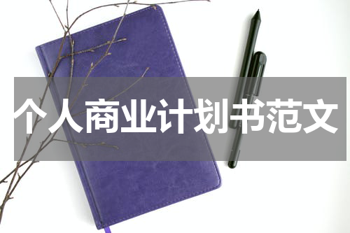 个人商业计划书范文