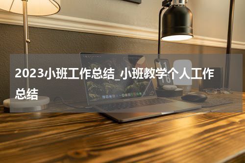 2023小班工作总结_小班教学个人工作总结