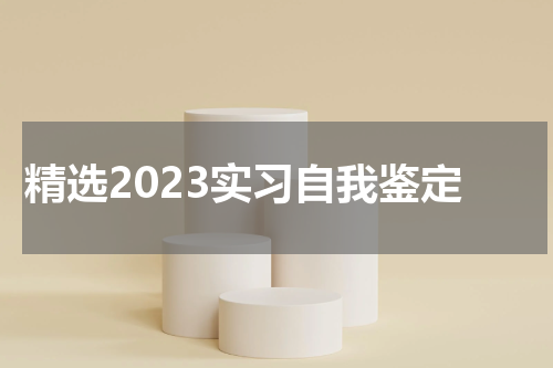 精选2023实习自我鉴定