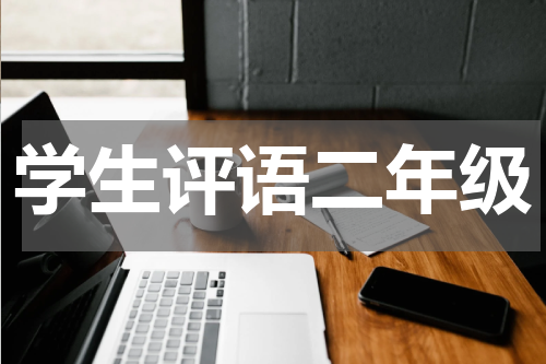 学生评语二年级