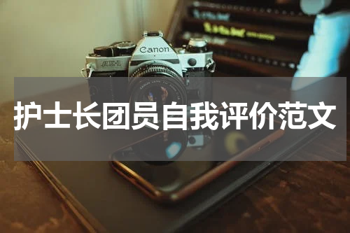 护士长团员自我评价范文