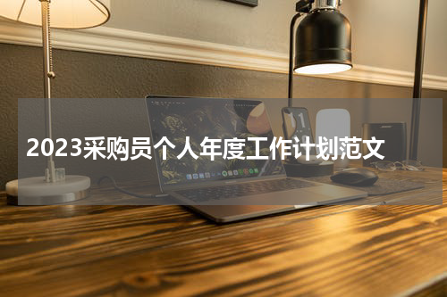 2023采购员个人年度工作计划范文