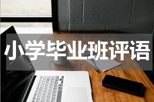 小学毕业班评语