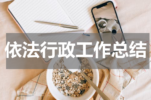 依法行政工作总结