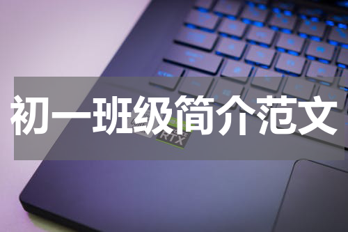 初一班级简介范文
