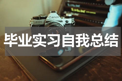 毕业实习自我总结