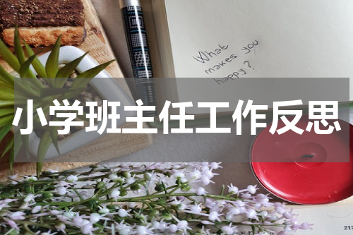 小学班主任工作反思