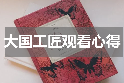大国工匠观看心得