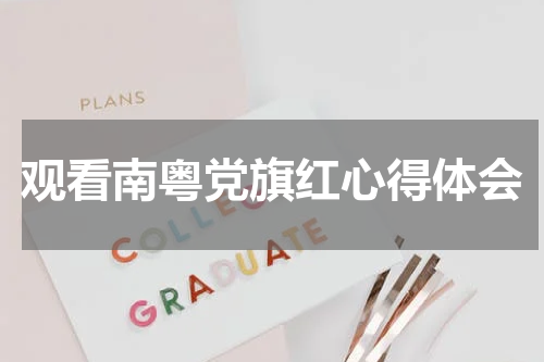 观看南粤党旗红心得体会