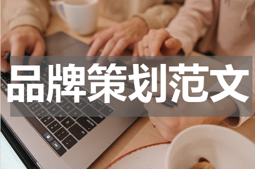 品牌策划范文