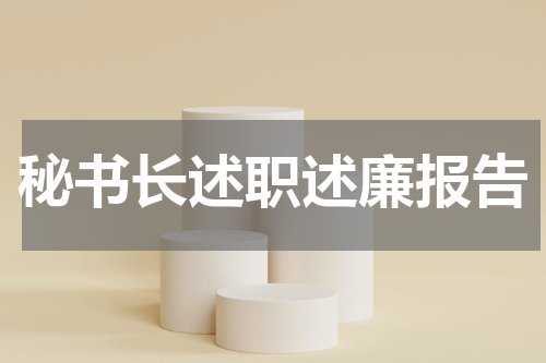 秘书长述职述廉报告
