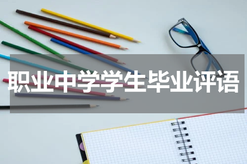 职业中学学生毕业评语