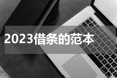 2023借条的范本