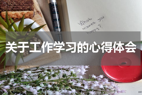 关于工作学习的心得体会