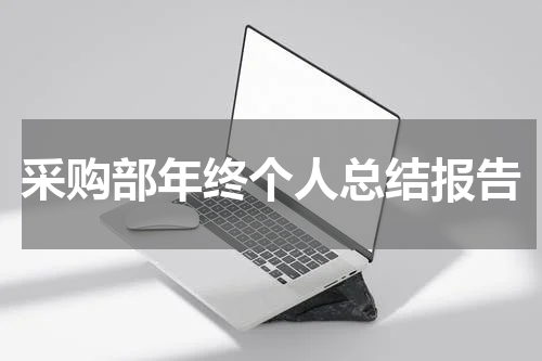 采购部年终个人总结报告