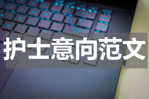 护士意向范文