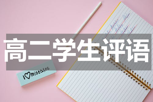 高二学生评语