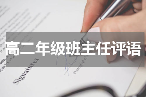 高二年级班主任评语