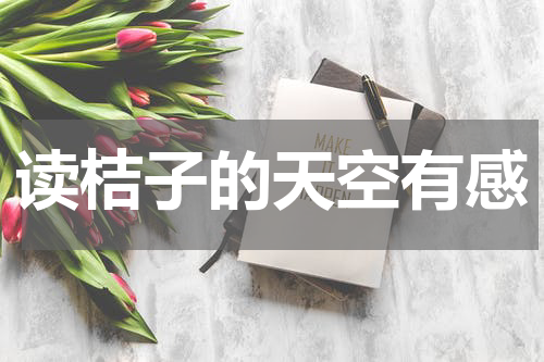 读桔子的天空有感