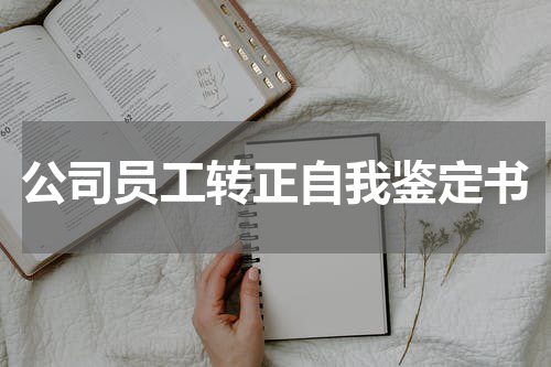 公司员工转正自我鉴定书