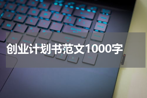 创业计划书范文1000字