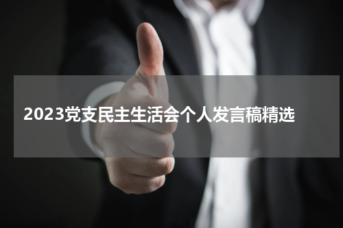 2023党支民主生活会个人发言稿精选