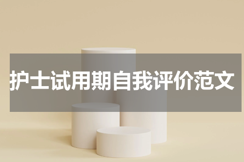 护士试用期自我评价范文