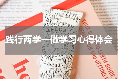 践行两学一做学习心得体会
