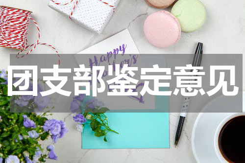 团支部鉴定意见