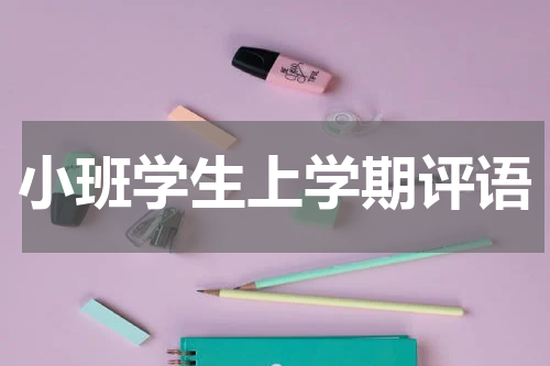 小班学生上学期评语