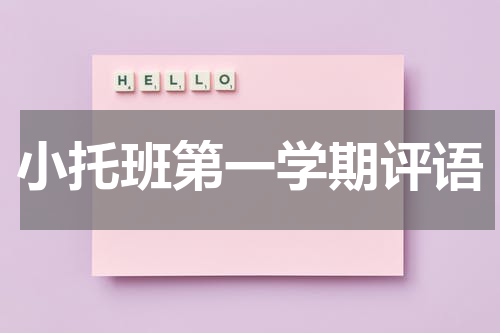 小托班第一学期评语
