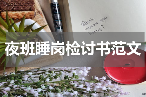 夜班睡岗检讨书范文