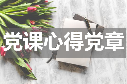 党课心得党章