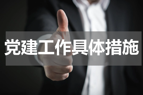 党建工作具体措施