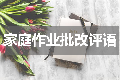 家庭作业批改评语
