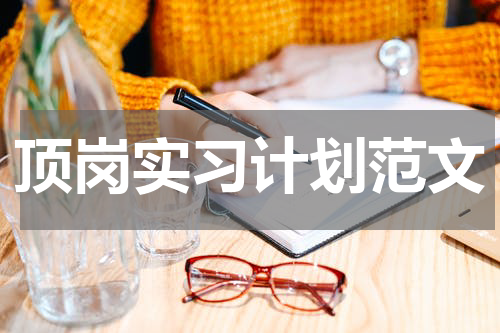 顶岗实习计划范文
