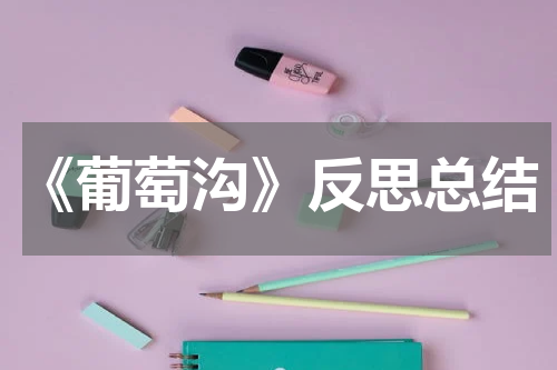 《葡萄沟》反思总结