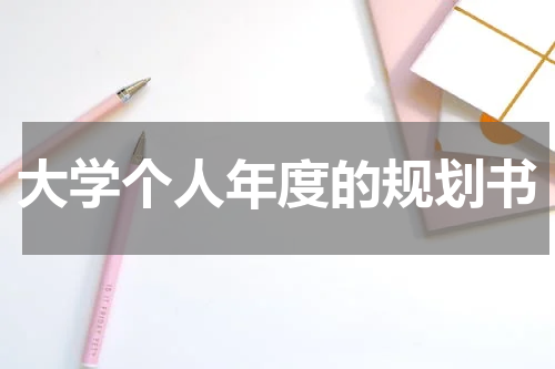 大学个人年度的规划书