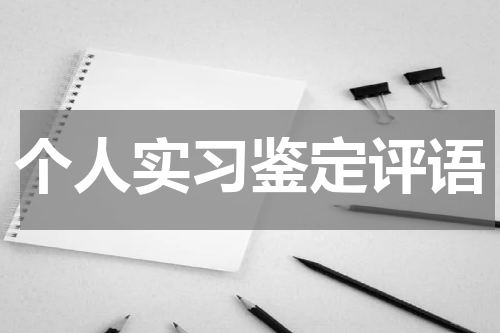 个人实习鉴定评语