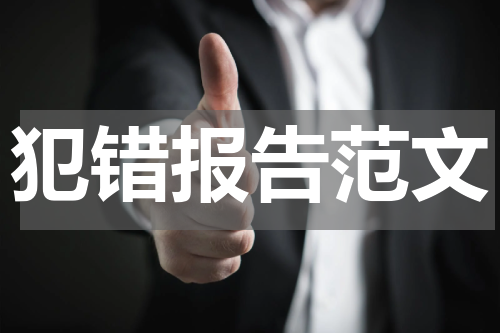 犯错报告范文