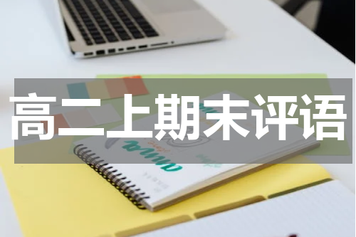 高二上期末评语