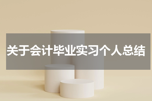 关于会计毕业实习个人总结