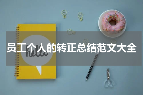 员工个人的转正总结范文大全
