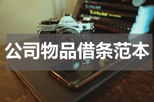 公司物品借条范本