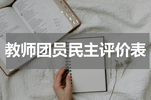 教师团员民主评价表