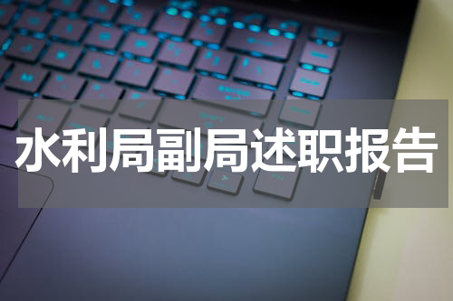 水利局副局述职报告