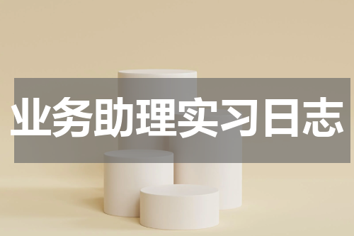 业务助理实习日志
